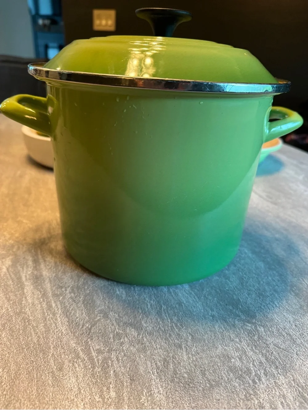 Le Cruset Stockpot with Lid (Palm)